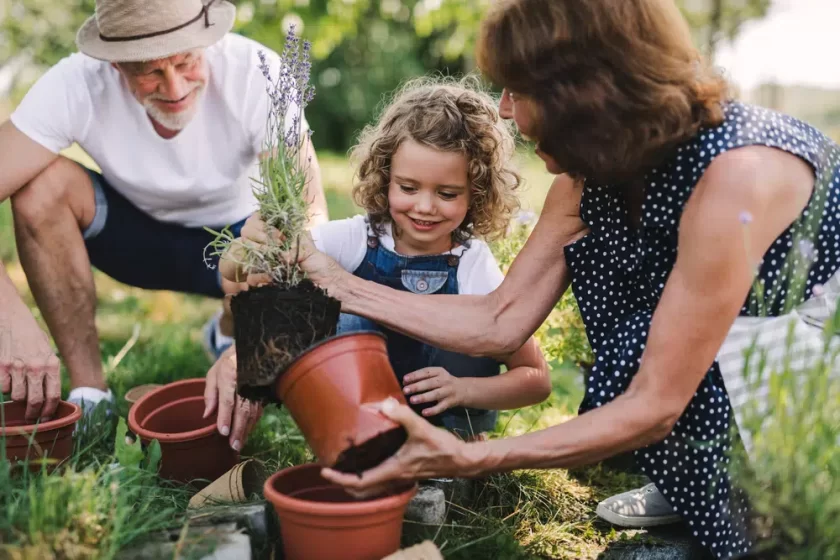 senior grandparents gardening backyard garden