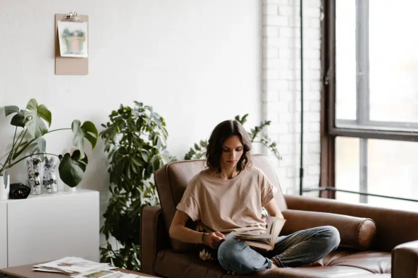 indoor plants at the background